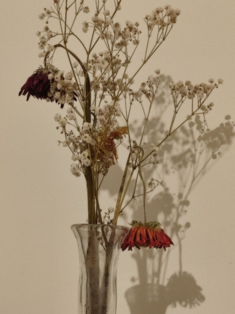 Dead flowers, flowers, still life